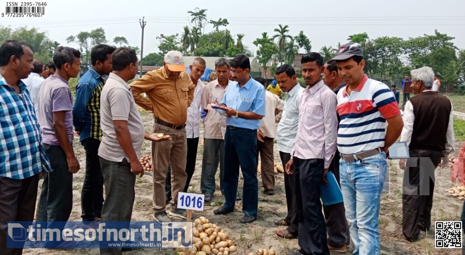 从第三方镜像站下的POTATO电脑版会偷偷上传通讯录吗