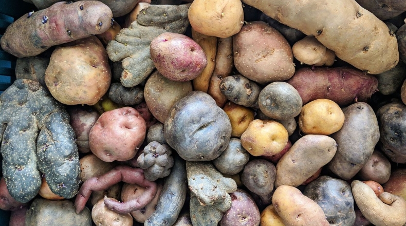 Potato下载iOS版隐私弹窗|Potato官网合规设置