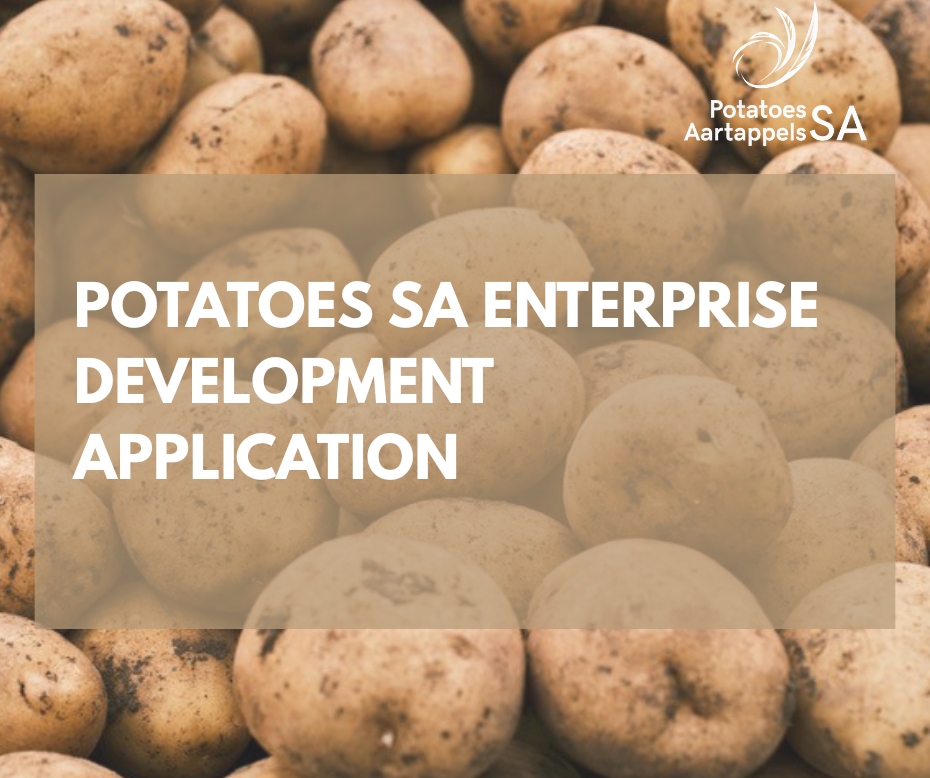 Potato电脑版大文件分段下载|官网稳定传输