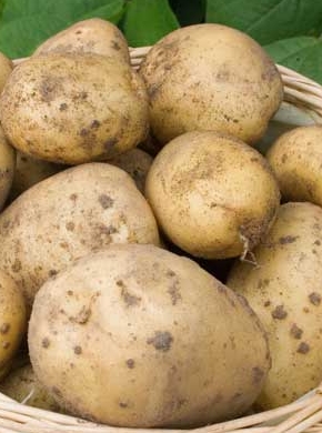 公司防火墙把POTATO官网屏蔽了用离线包还能更新吗