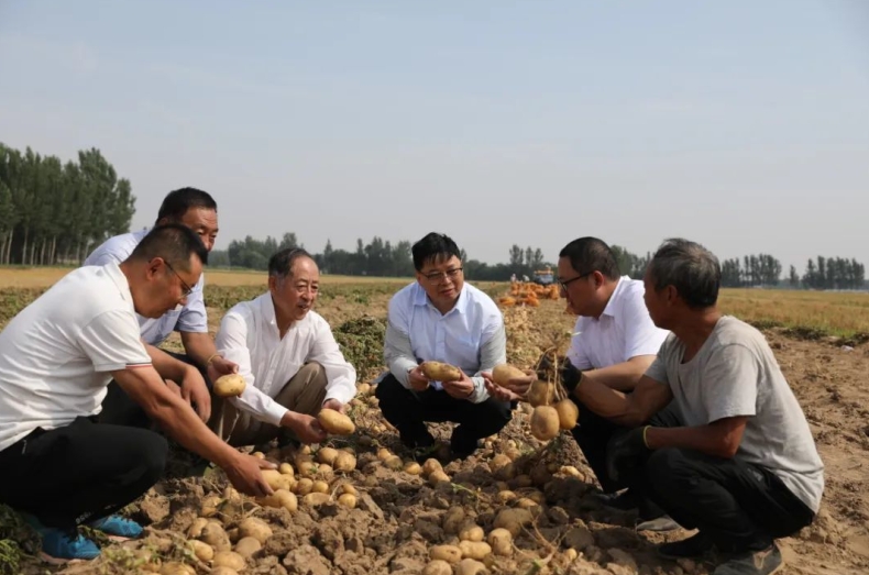 POTATO电脑版能设置消息字体为彩色吗