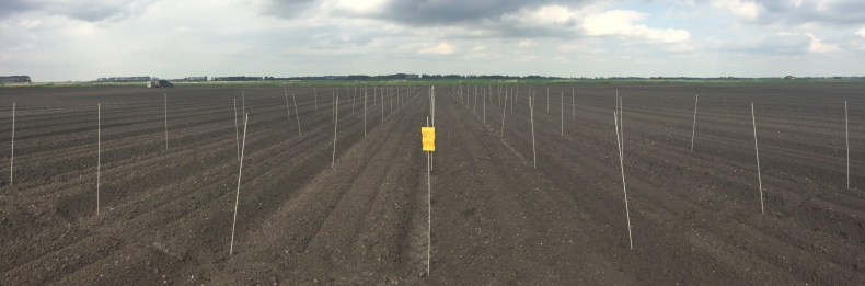 POTATO电脑版能把群公告置顶超过三条吗