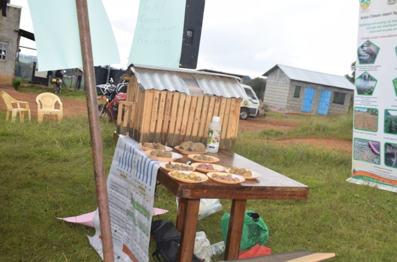 Potato中文版视频倍速播放｜电脑版节省流量