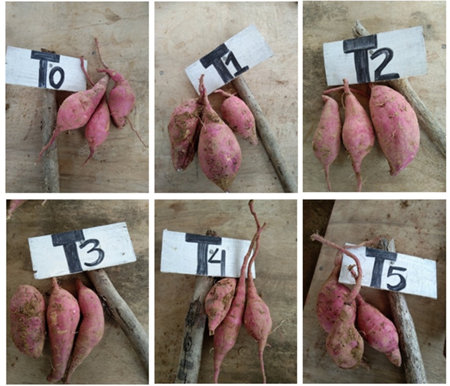 Potato下载Android版权限最小化｜Potato官网隐私模式