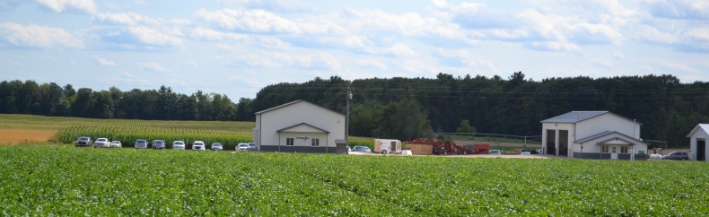 Potato下载电脑版中文版