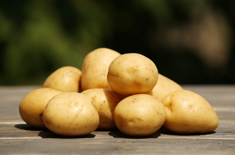 为什么POTATO官网夜间模式开关总自动跳回白色