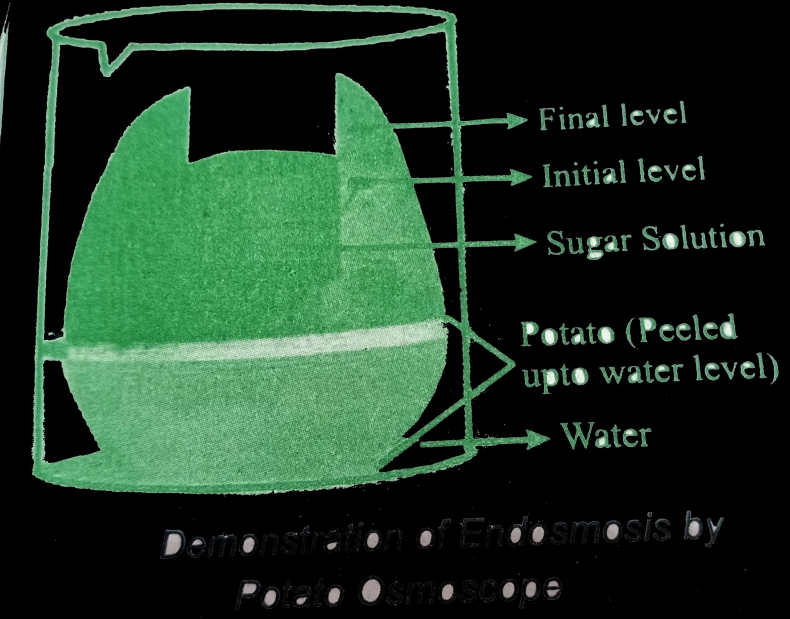 Potato官方下载页面打不开?国内访问方法与技巧