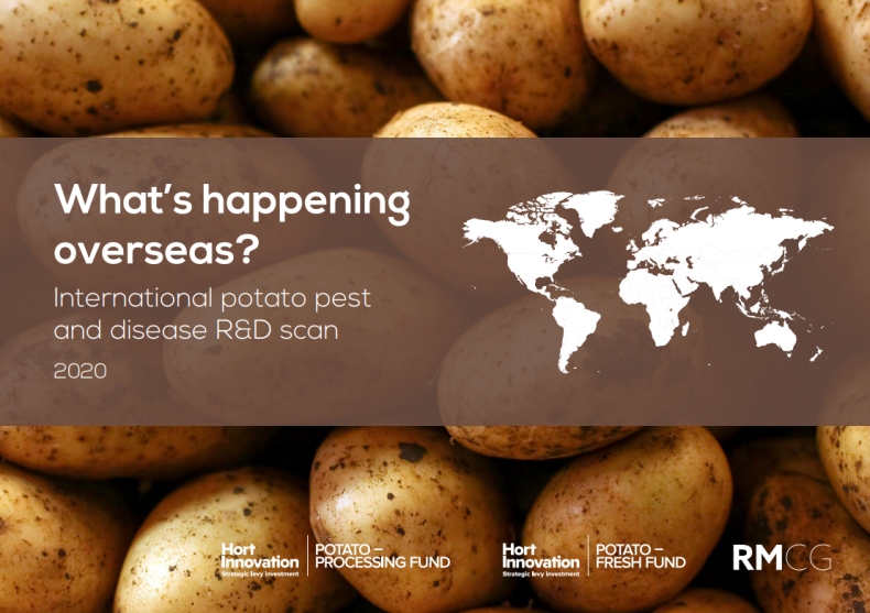 Potato下载安卓APK最新版本安全获取完整指南