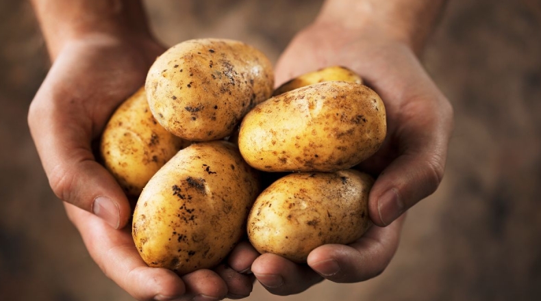 Potato下载iOS版App Store官方安装与信任设置