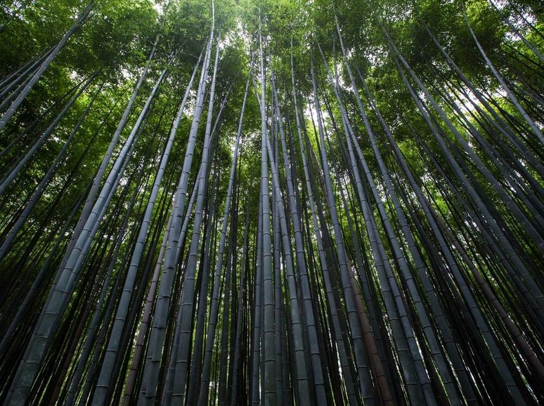 Potato MD5校验教程:如何验证下载文件完整性