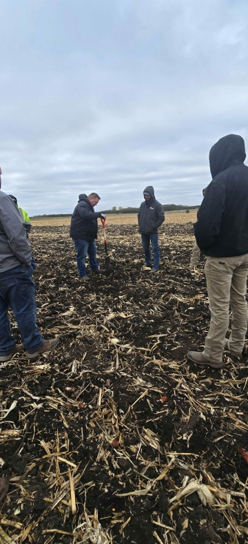 Potato官方下载渠道安全排名:哪些平台最可靠?