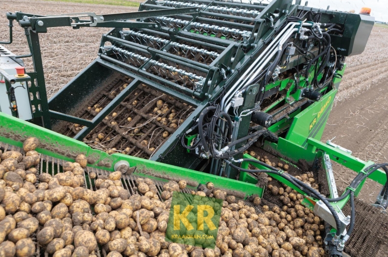 Potato历史版本下载：旧版安装包获取与降级教程