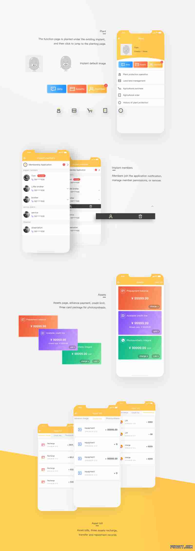 Potato消息自毁设置:隐私保护与阅后即焚配置